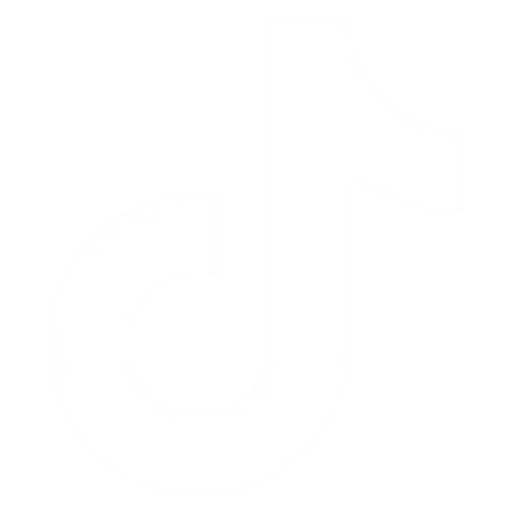 TikTok Lead Forms