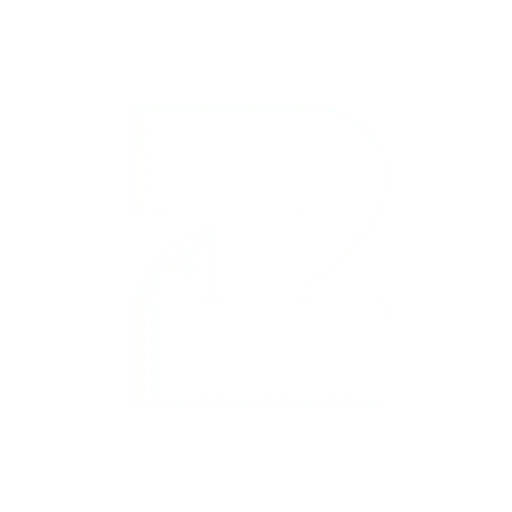 2Chat logo