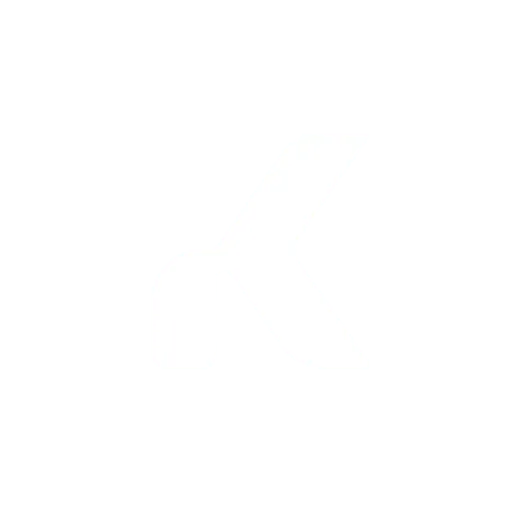 Kommo