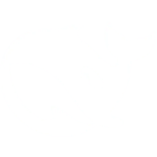 DeepSeek AI