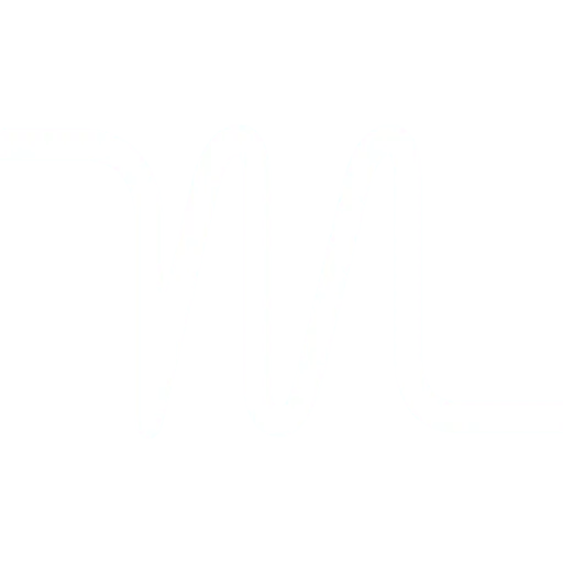 Motion