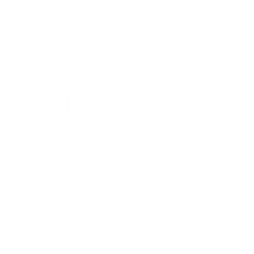Firecrawl