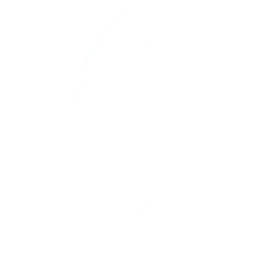 MongoDB