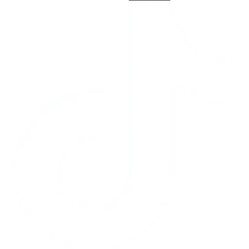 TikTok Reports