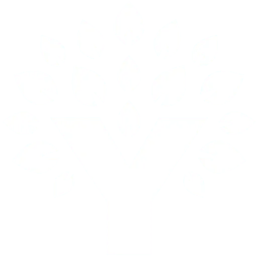 YNAB